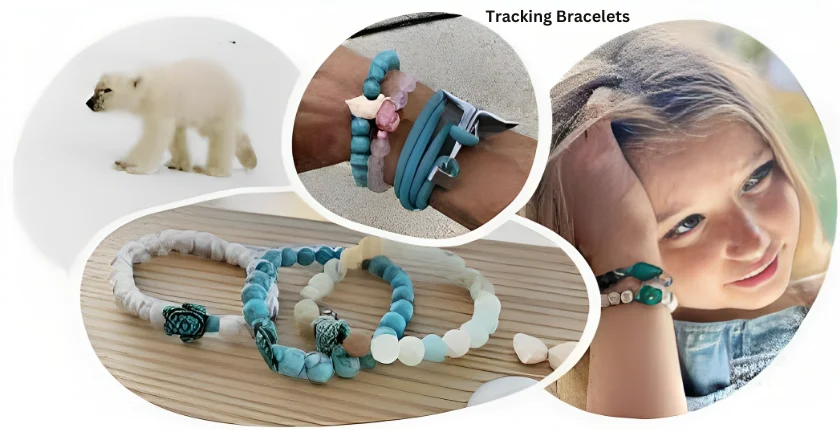 Animal Tracking Bracelets